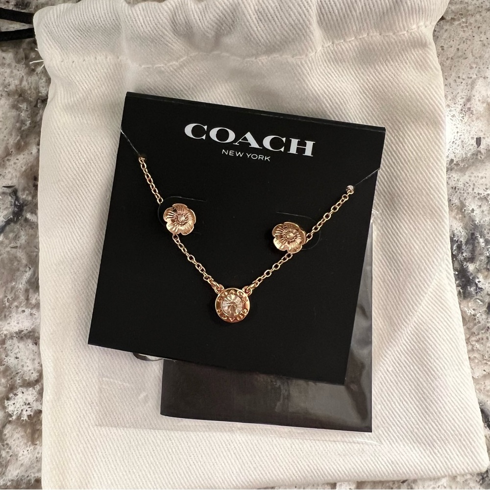 NWT Coach earring and necklace set